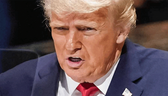 লোকে আমাকে স্বৈরাচারী বলে, তবে কখনও কখনও একনায়কের প্রয়োজন হয়: ট্রাম্প