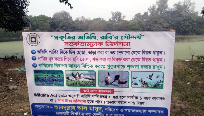 রাজশাহী বিশ্ববিদ্যালয়ের রোকেয়া হলের পুকুরে পরিযায়ী পাখির কলরবে মুখর ক্যাম্পাস