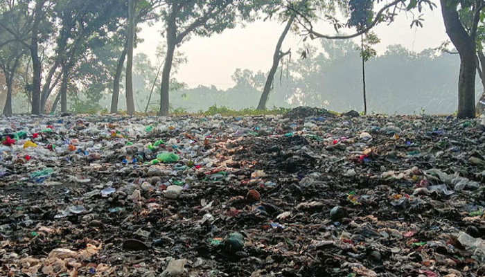 রাবি কৃষি প্রজেক্ট এলাকায় সিটি কর্পোরেশনের বর্জ্য ফেলা ও পোড়ানোয় গাছের ব্যাপক ক্ষতি