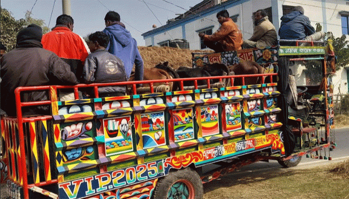 গরু ফিরেছে, রেজাউল আলম ফেরেননি