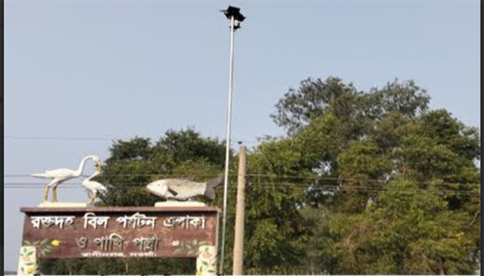 রাণীনগরে রক্তদহ বিলের পাখি পল্লীতে নজরদারির জন্য ক্যামেরা স্থাপন