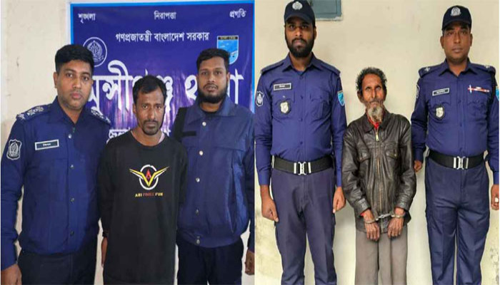 শিশু ধর্ষণের পৃথক ঘটনায় ২ জন গ্রেপ্তার