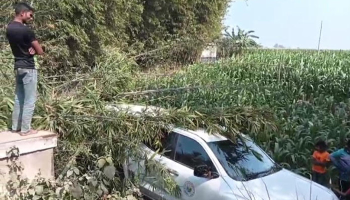 ঠাকুরগাঁও প্রাণীসম্পদ অফিসের জিপ গাড়িটি নিয়ন্ত্রণ হারিয়ে বাঁশ ঝাড়ে