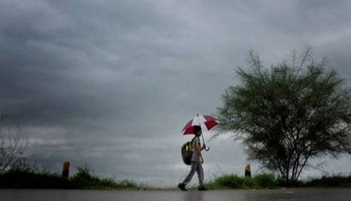 আগামী ৫ দিন শীত ও কুয়াশা কেমন থাকবে, জানাল আবহাওয়া অধিদপ্তর