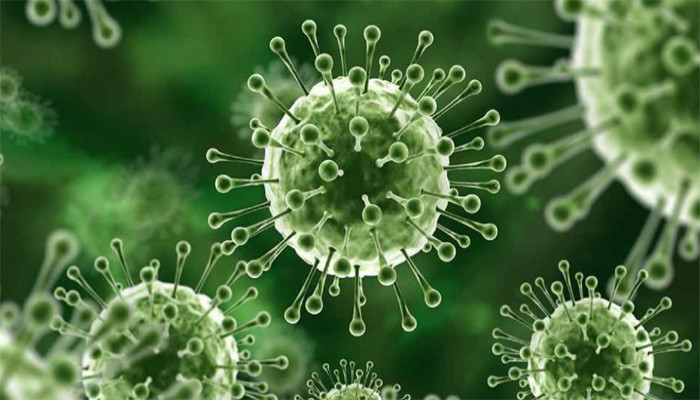 দেশে প্রাণঘাতী ভাইরাস শনাক্ত, বিজ্ঞানীদের সতর্কবার্তা