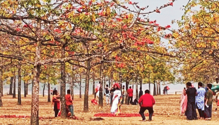 রূপের নদী যাদুকাটা নদীর তীরে শিমুল বাগানে বসন্ত আগমনে মেতে উঠেছে তরুণ-তরুণীরা