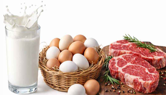 রমজানে ১০ লাখ পরিবারকে স্বল্পমূল্যে দুধ-ডিম ও মাংস দেবে সরকার