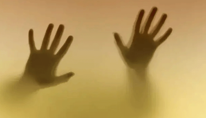 ভোলায় প্রতিবন্ধী নারীকে সংঘবদ্ধ ধর্ষণ