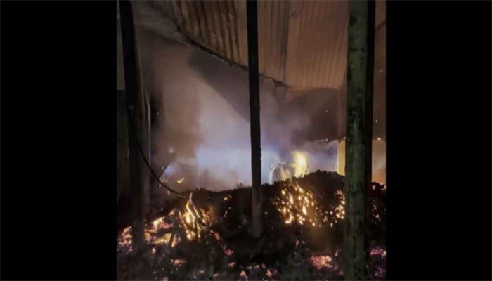 নাটোরের পূর্ব ঢাকোপাড়া গ্রামে আগুনে গবাদিপশুসহ কৃষকের বসতবাড়ি পুড়ে ছাই