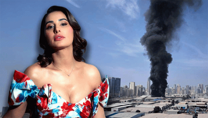 ‘চোখের পাতা এক করতে পারছি না, জানি না কী হতে চলেছে’: নার্গিস ফকরি