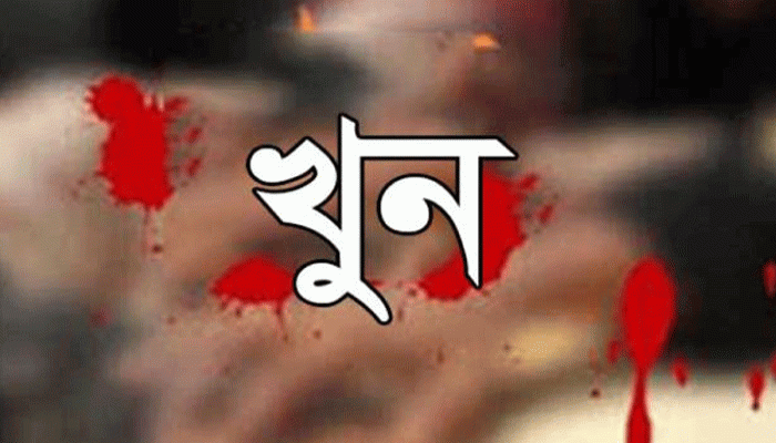 ছোট ভাইয়ের হাতে বড় বোন খুন!