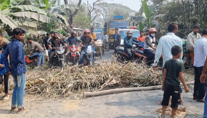 ফুলবাড়ীতে ট্রলি খাদে পড়ে চালকের মৃত্যু, গতিরোধক নির্মানের দাবিতে বিক্ষোভ