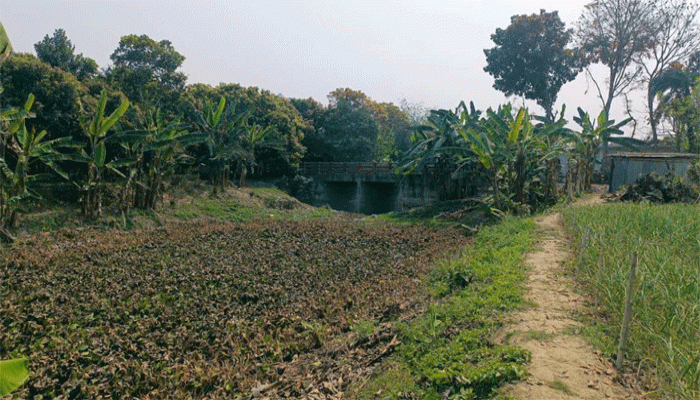 চারঘাটে কালের বিবর্তনে হারিয়ে গেছে ২৭ কিমি খাল, পরিবেশ ও জীবিকার জন্য উদ্বেগ