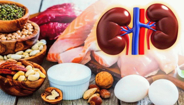 হাই-প্রোটিন ডায়েট নিয়ে চিকিৎসকের বড় সতর্কবার্তা