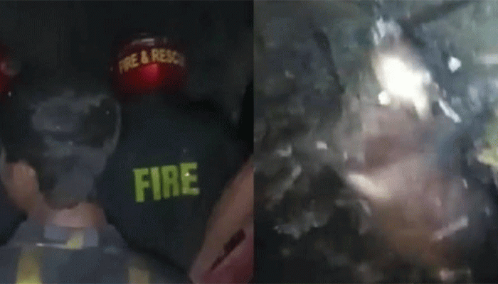 তানোরে গোয়াল ঘরে আগুন ৬টি গরু পুড়ে ছাই