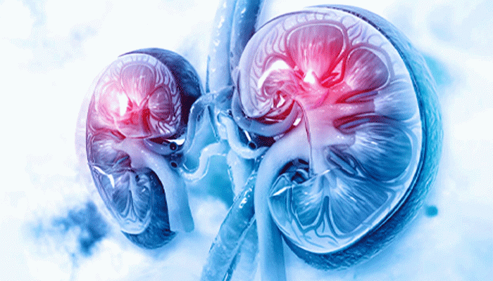 অজান্তেই কিডনির ক্ষতি করতে পারে শরীরে বাসা বাঁধা অন্য রোগ