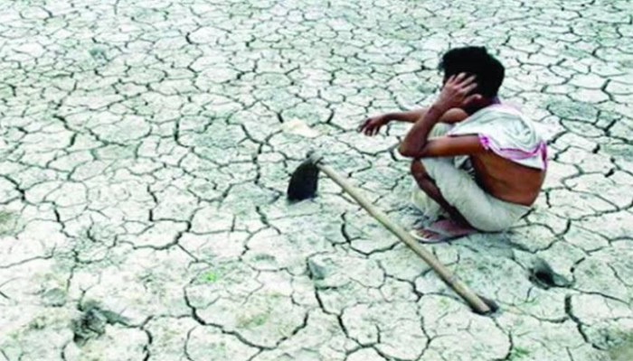 বরেন্দ্রে অঞ্চলে খরার প্রভাব কমছে ফলন, বাড়ছে পানির সংকট