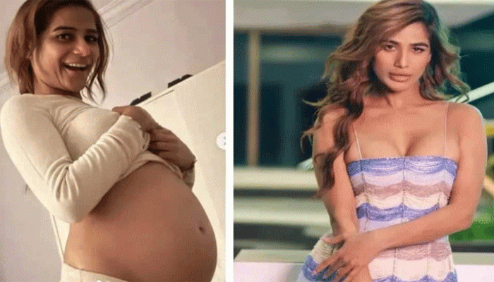 অন্তঃসত্ত্বা পুনম পাণ্ডে, সন্তানের পিতৃপরিচয় নিয়ে রহস্য