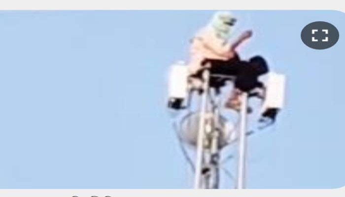 প্রেমিকের সঙ্গে ঝগড়া করে মোবাইল টাওয়ারে চড়লেন তরুণী!