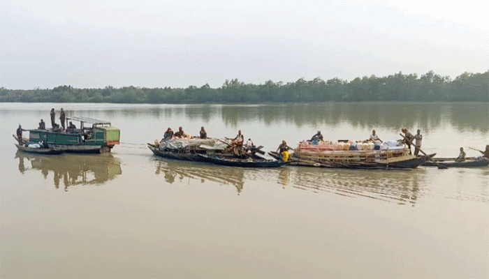 বনদস্যু আতঙ্কে সুন্দরবনে কমছে মৌয়াল