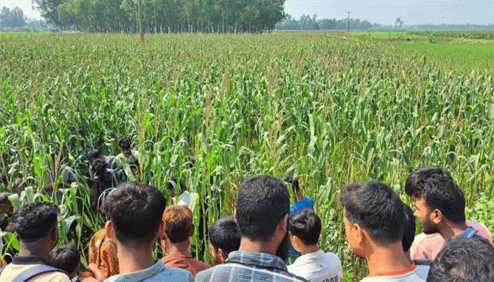 জামালপুরে অটোরিকশা চালকের বস্তাবন্দি মরদেহ উদ্ধার