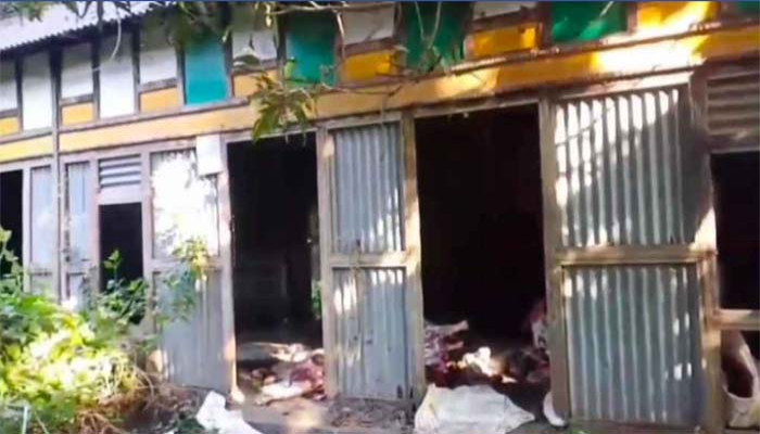 মুন্সীগঞ্জে পরিত্যক্ত ঘরে ১৩ ঘোড়া জবাই