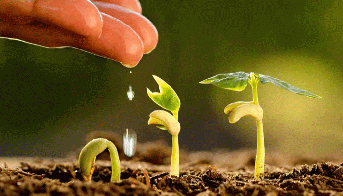 যাকাতের টাকা চুরি হলে যা করবেন