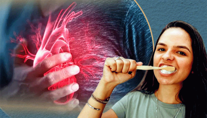 হৃদ্‌রোগ ঠেকাতে হাতিয়ার হয়ে উঠতে পারে টুথব্রাশ!