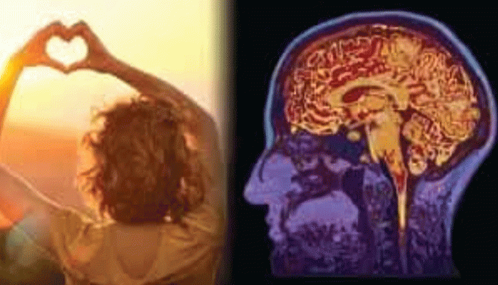 ৩০-এর পর এই এক ভিটামিনেই কমতে পারে ডিমেনশিয়ার ঝুঁকি!