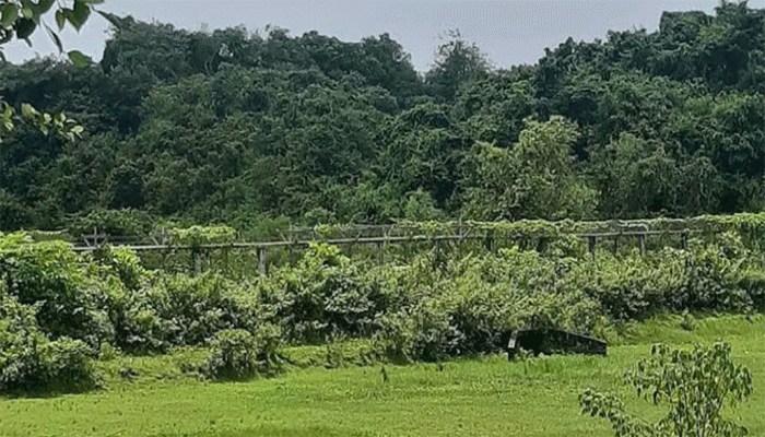 উখিয়া সীমান্তে মাইন বিস্ফোরণে উড়ে গেল যুবকের পা