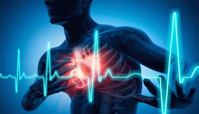 হার্ট অ্যাটাকের আতঙ্ক বাড়ছে রোজ! যাপনে ৯টি পরিবর্তন আনা দরকার