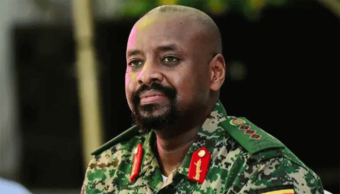 ইটালির মেলোনিকে বিয়ের প্রস্তাব দেওয়া উগান্ডার ‘রাজপুত্র’-এর নজর এ বার তুরস্কে