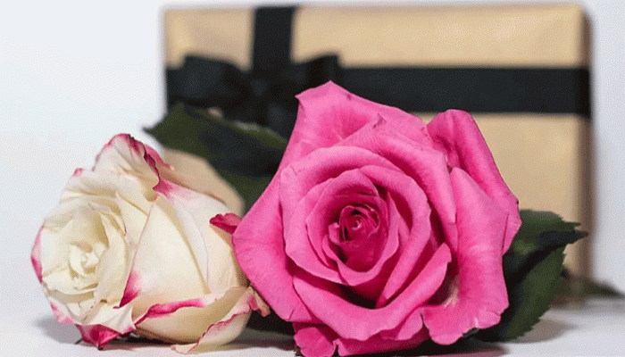 ইসলামের ইতিহাসে প্রথম নারী যোদ্ধা যিনি