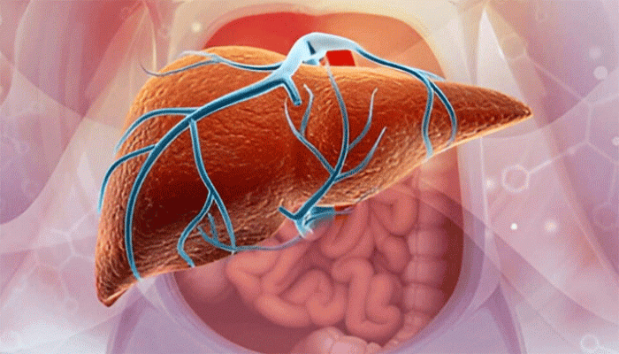 পেট ও লিভার ঠিক কতটা সুস্থ? মিলিয়ে নিন শরীরেরই ৭ সঙ্কেতে