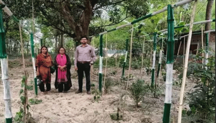 মোহনপুরের কৃষিতে নতুন সম্ভবনা চুইঝাল