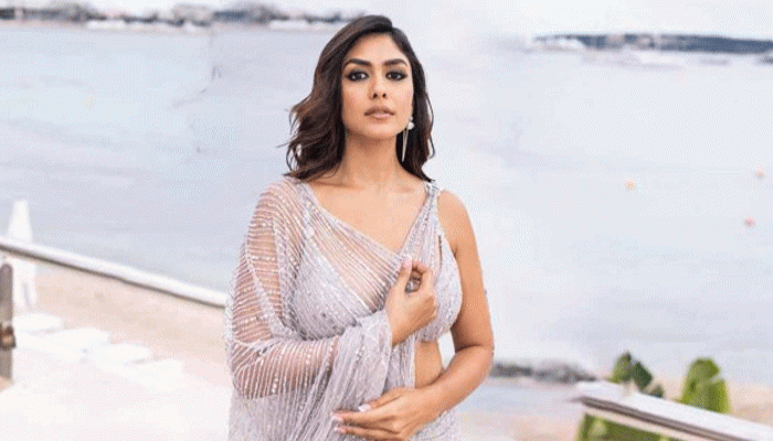 ৩০ বছরের বড় ‘স্বামী’কে নিয়ে হতাশ ম্রুণাল