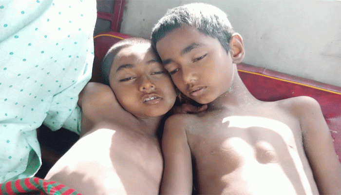 সিংড়ায় পুকুরে ডুবে দুই ভাইয়ের মর্মান্তিক মৃত্যু