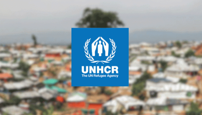 সমুদ্রপথে রোহিঙ্গাদের সবচেয়ে প্রাণঘাতী বছর ২০২৫: ইউএনএইচসিআর