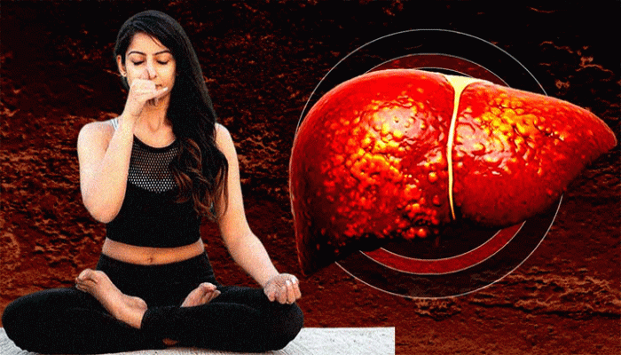 সহজ কিছু শ্বাসের ব্যায়াম নিয়মিত করলে নির্মূল হতে পারে ফ্যাটি লিভার