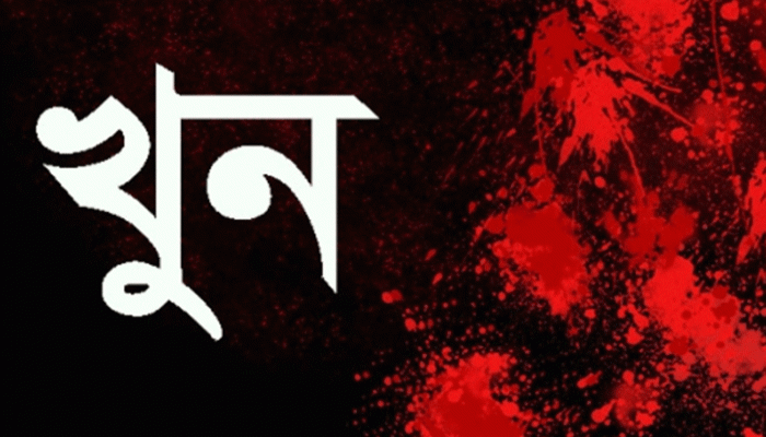 কুষ্টিয়ায় ছোট ভাইয়ের হাতে বড় ভাই খুন