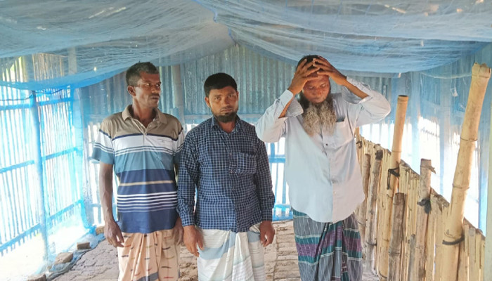 গুরুদাসপুরে ৬টি গরু চুরির ঘটনায় আতঙ্ক