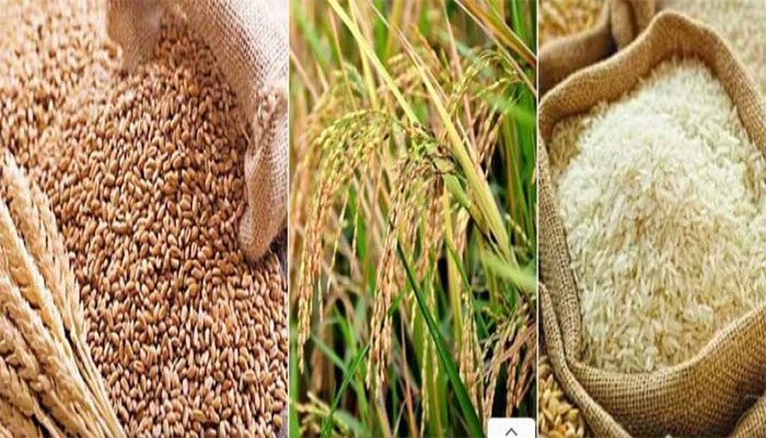 বোরো মৌসুমের ধান-চাল-গমের সংগ্রহ মূল্য নির্ধারণ