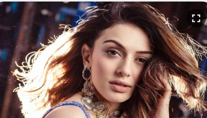 ‘কাস্টিং কাউচ’ নিয়ে হংসিকার ‘আপত্তিকর’ মন্তব্য! কেন কটাক্ষের মুখে পড়লেন অভিনেত্রী?