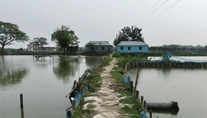 ফিসারির দখলে বিলীন সড়ক: নীরব প্রশাসন, চরম দুর্ভোগে কয়েক হাজার গ্রামবাসী