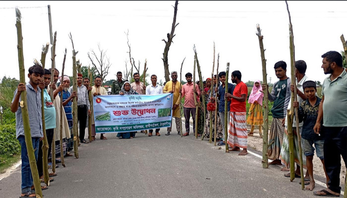 রাণীশংকৈলে উদ্বুদ্ধকরণ এর আওতায় সজিনা চাষ কার্যক্রমের উদ্বোধন