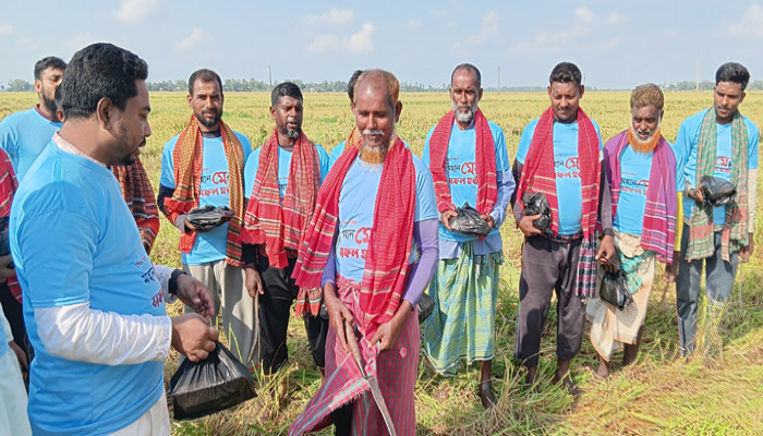 সিংড়ায় যুবদল নেতা হুমায়ুনের ধান কাটা  শ্রমিকদের মাঝে খাবার ও গামছা বিতরণ