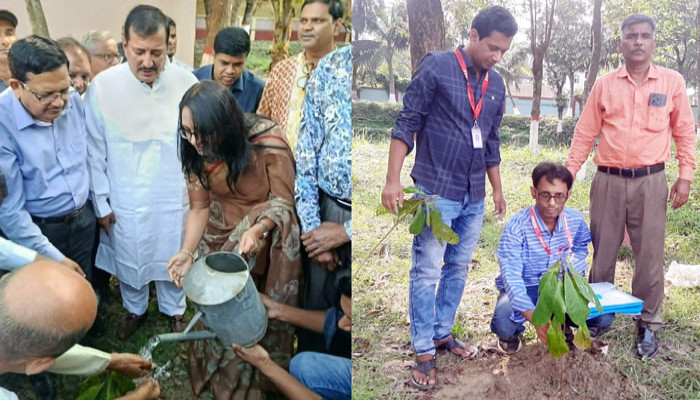 পাবনায় ইয়াং জার্নালিস্টের বৃক্ষরোপণ