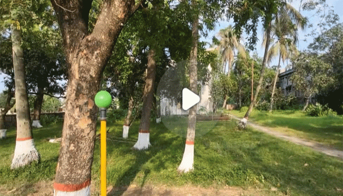 দেড় লাখ টাকার গাছ ৫০ হাজারে নিলাম