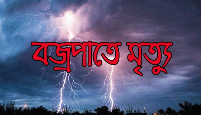 নিয়ামতপুরে পৃথক স্থানে বজ্রপাতে দুইজনের মৃত্যু