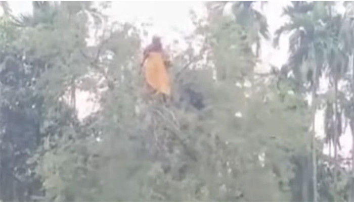 নিখোঁজ নারীকে পাওয়া গেল তেঁতুল গাছের মগডালে, এলাকাজুড়ে চাঞ্চল্য
